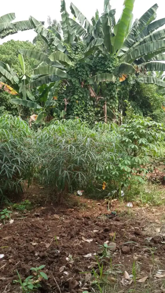 Tanah Strategis Dekat Terminal Bus Bekasi, Margahayu, Bekasi Timur