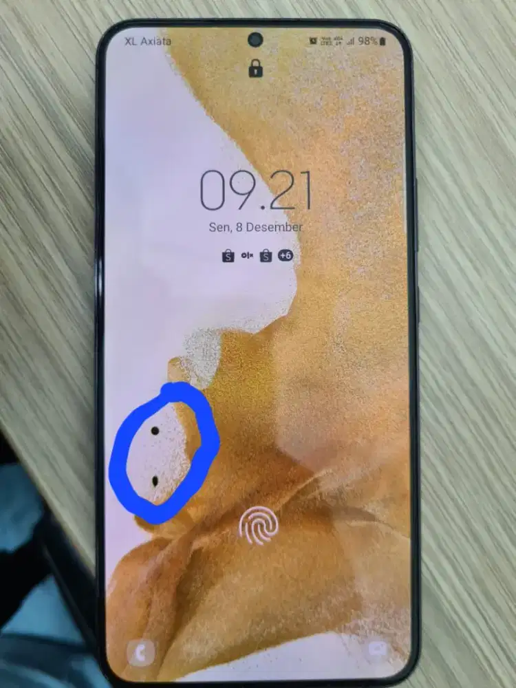 Samsung S22 Plus Ex Inter