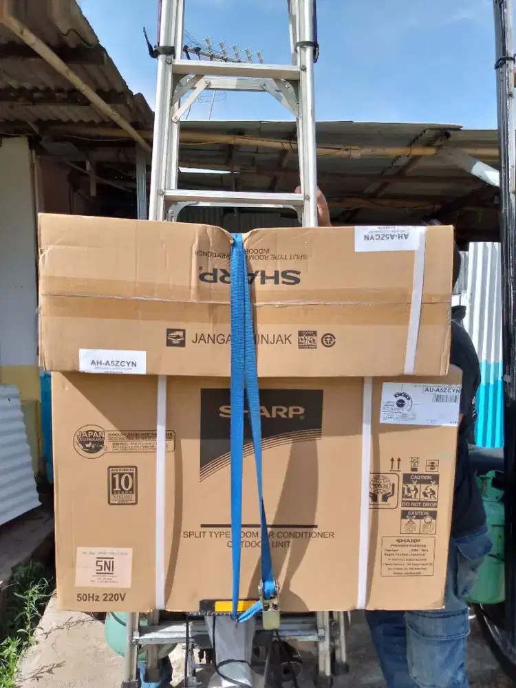 AC Sharp 1/2 PK new desember