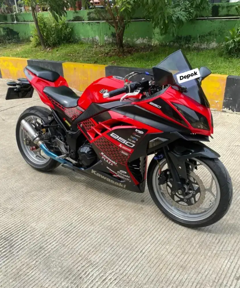 2013 Kawasaki Ninja 250 FI