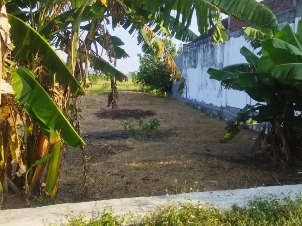 Dijual Kavlingan Balong Panggang Gresik