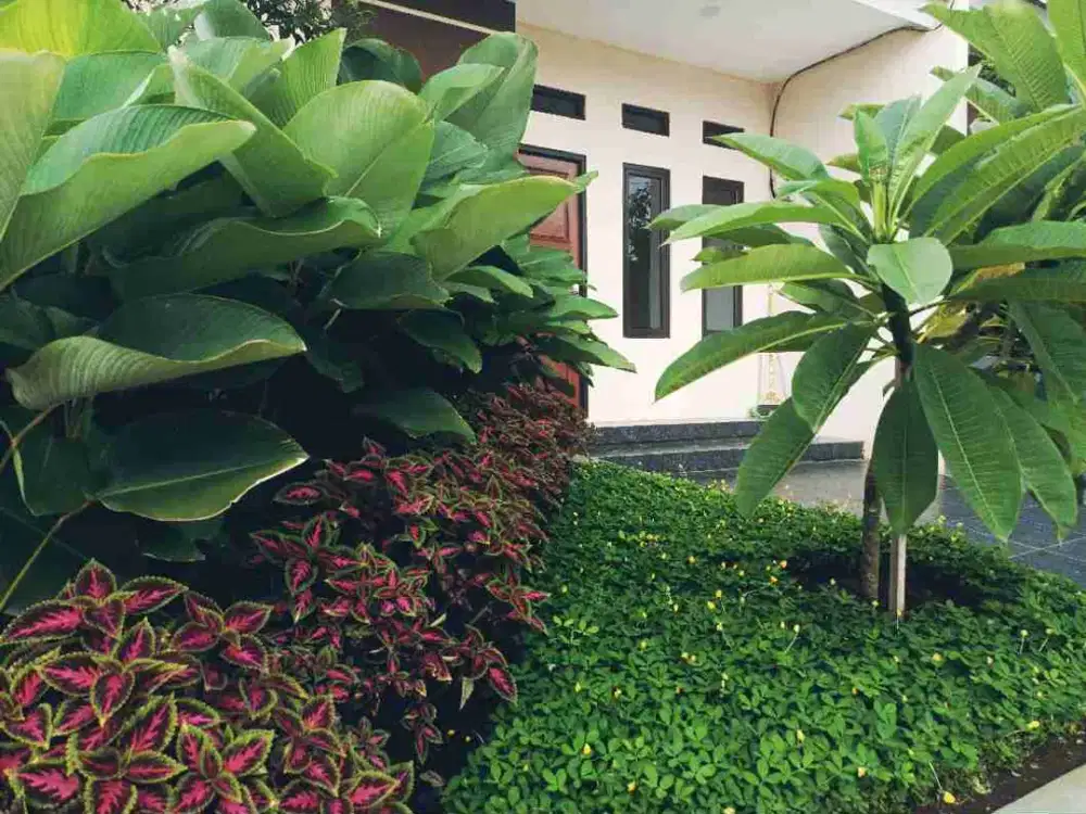 Rumah Subsidi Baru Dekat Stasiun Parungkuda