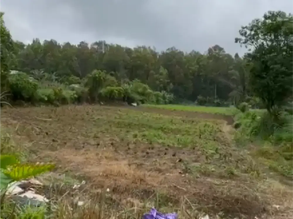 JUAL TANAH GLOBAL DI KAWASAN WISATA BEDUGUL