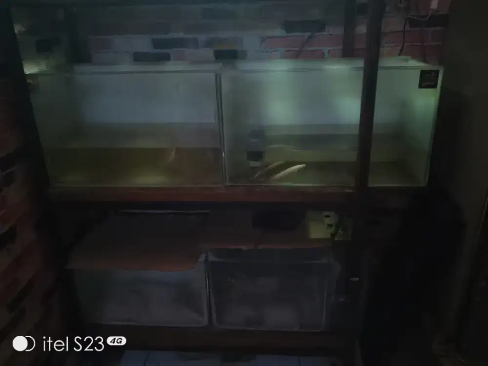 Aquarium layak pakai