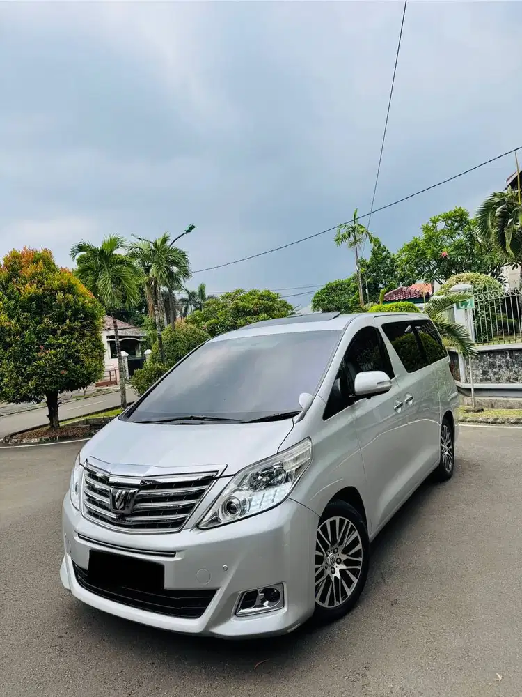 Toyota Alphard G Premium Sound Tgn1