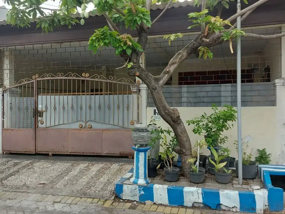 rumah dijual pandugo baru surabaya