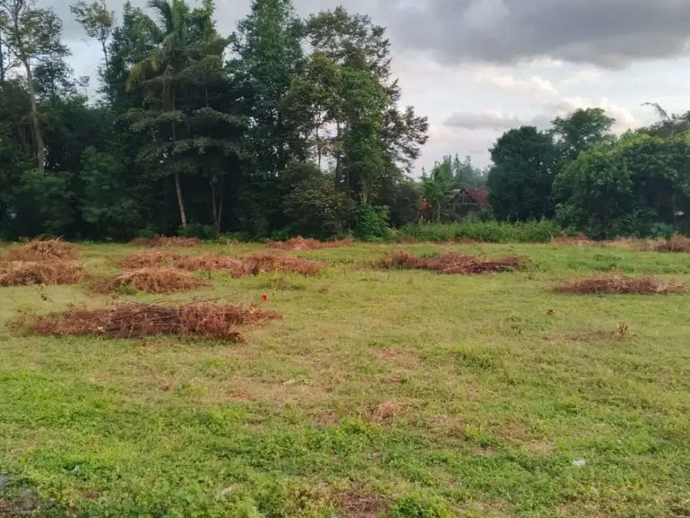 Tanah Strategis Deket Stadion Maguwoharjo, Lokasi Mantap!