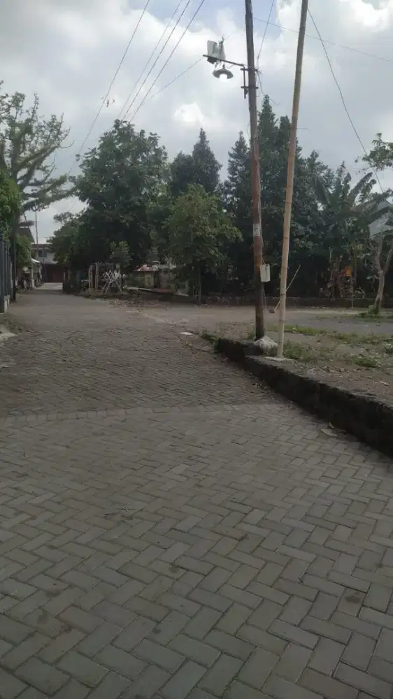 Tanah di Candi Karang Yogyakarta