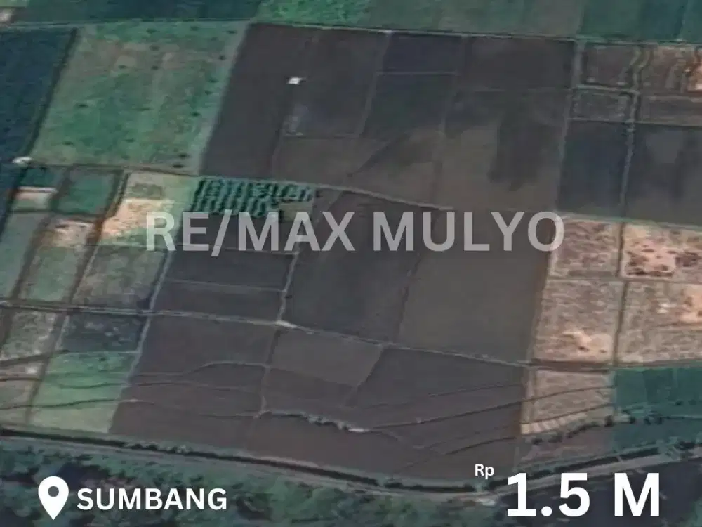 Dijual Lahan Sawah Seluas 5.568 m2 Area Sumbang
