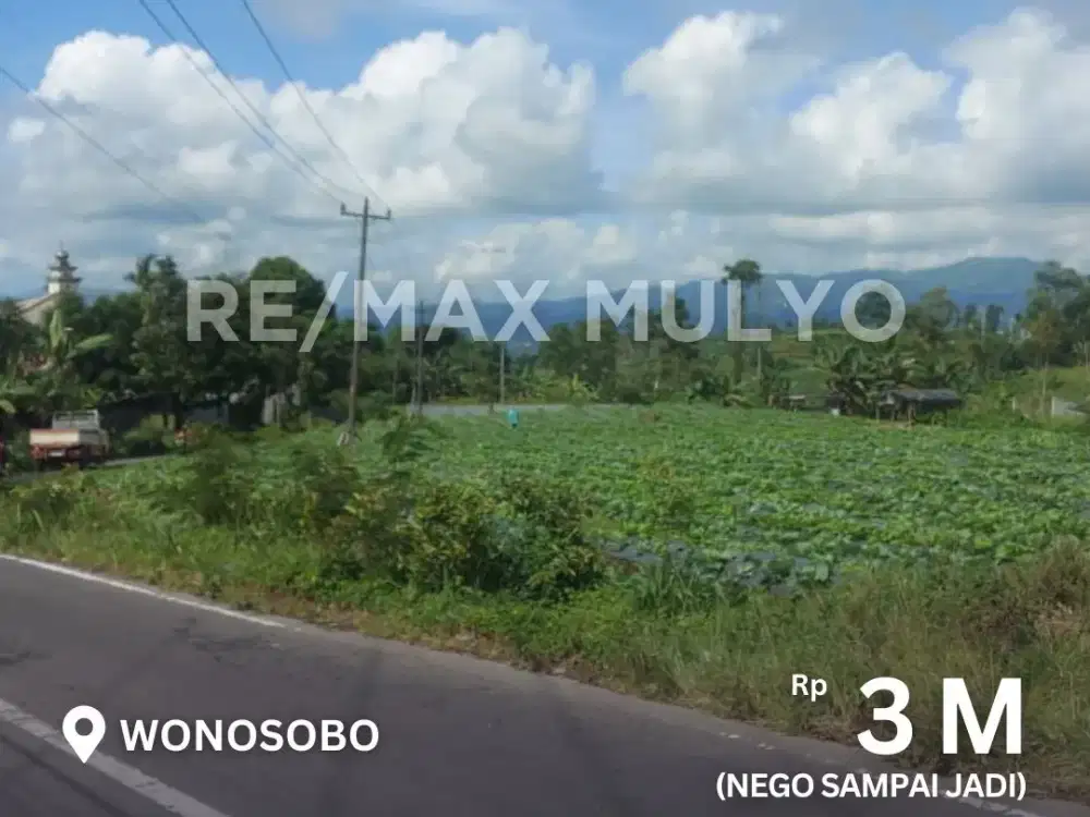 Tanah Dijual Tepi Jalan Besar dan Strategis Cocok untuk Wisata/Hunian