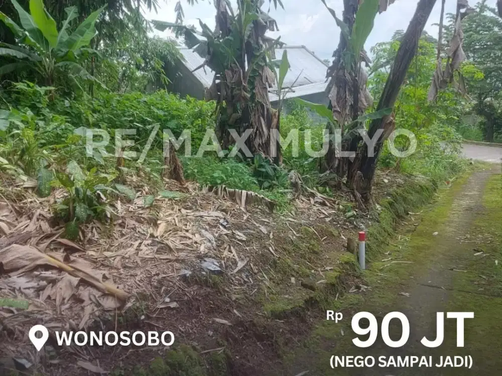 Dijual Tanah Pekarangan Seluas 156 m2 Area Kawasan Pegunungan Wonosobo