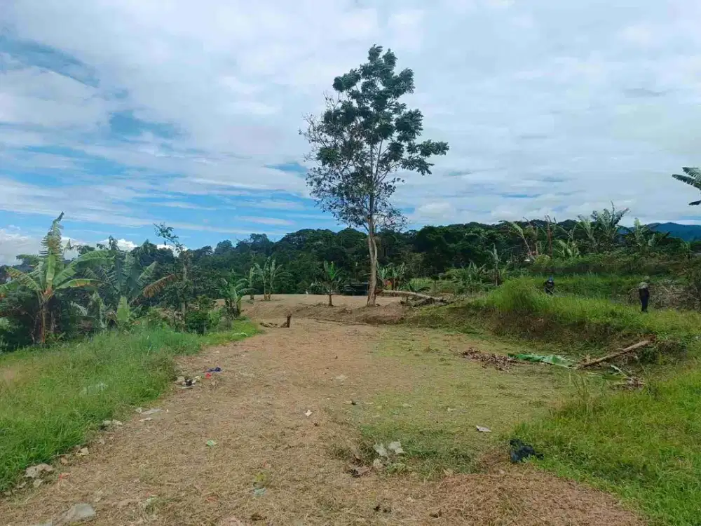 jual tanah luas pleksibel di citeko cisarua puncak