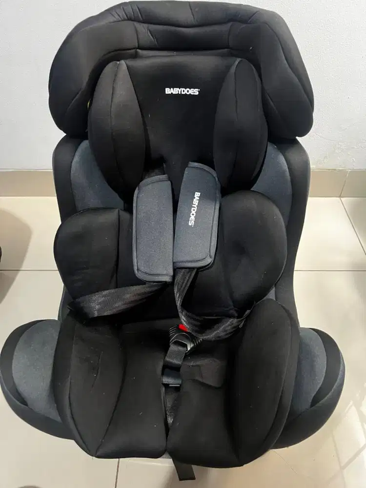 Carseat Babydoes Driver