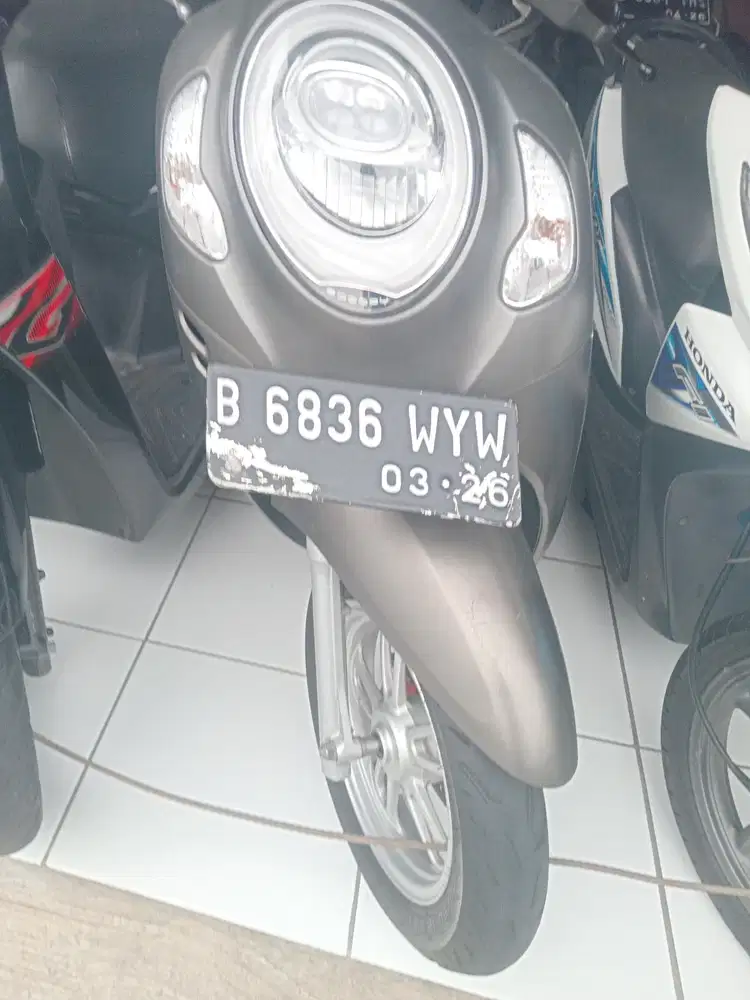 Scoopy frestig 2021 kaiyles  pajak on