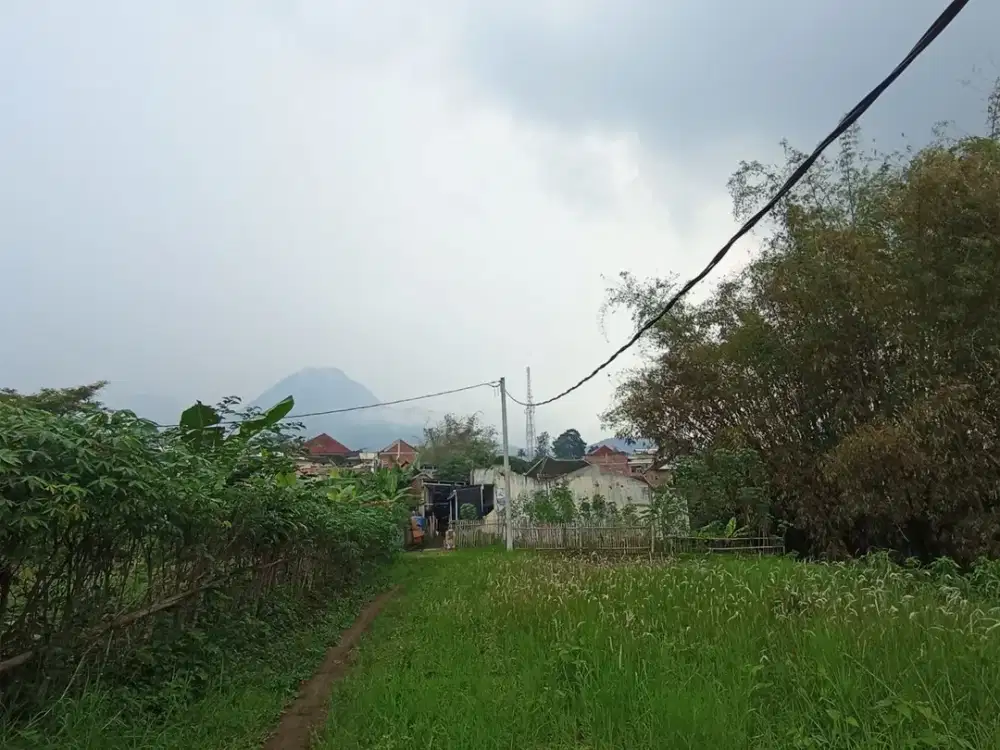 Sertifikat SHM Sebelah IIBS Thursina Tanah Strategis Pinggir Jalan Padat Penduduk