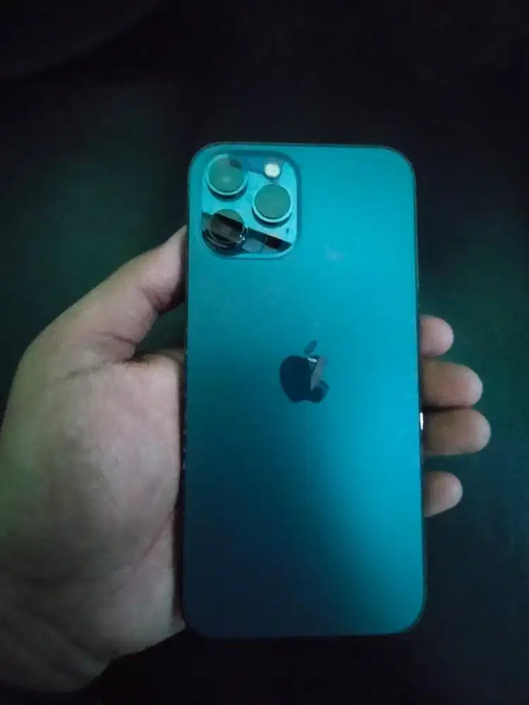 Jual iPhone 12 Pro Max