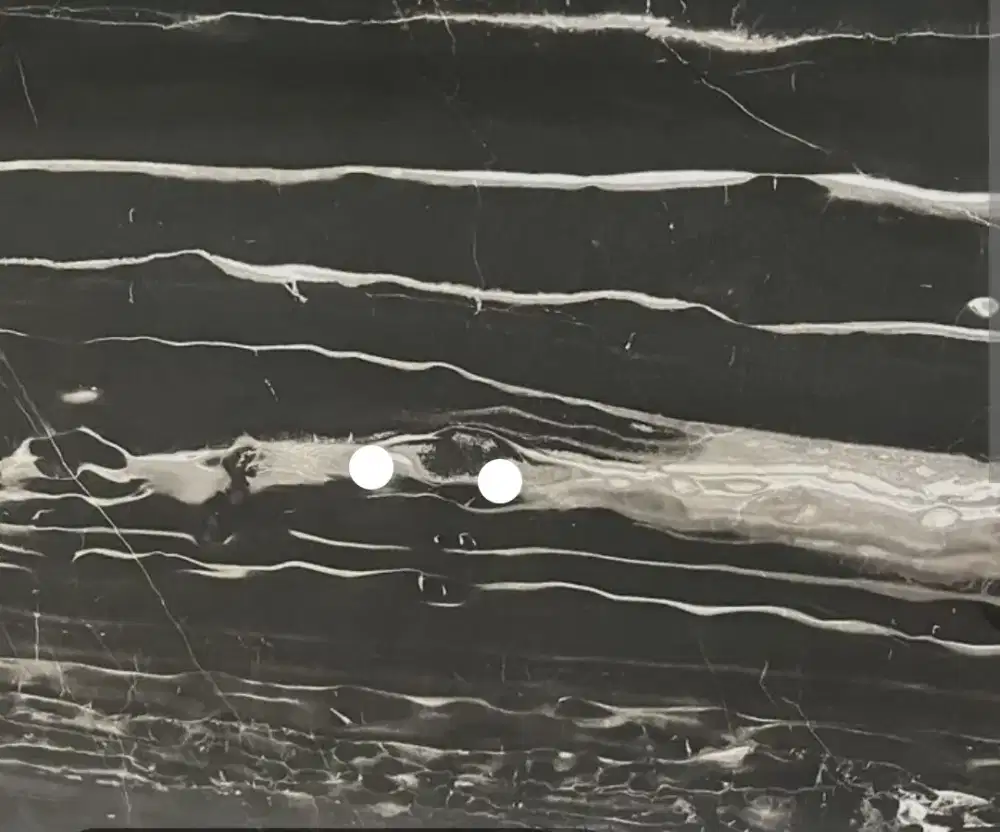 Marmer portoro silver dan black forest