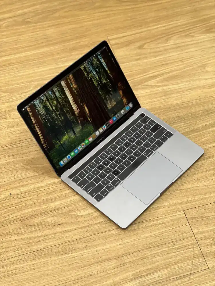 MacBook Pro 2018 13inch 16/1TB