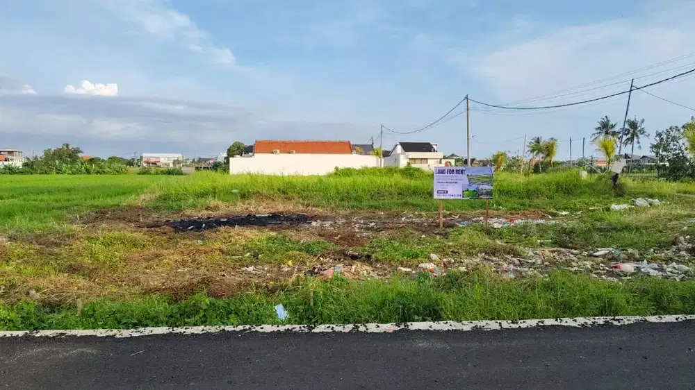 Disewakan Lahan Premium Pinggir Jalan Didepan Jungle Padel Seseh