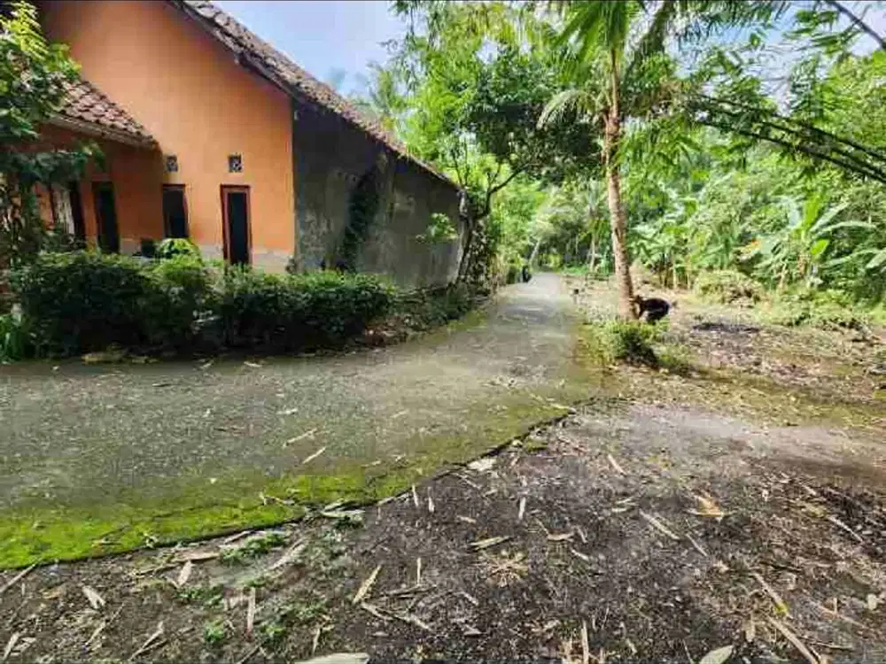 JUAL TANAH DI TAYUBAN PANJATAN KULONPROGO MURAH