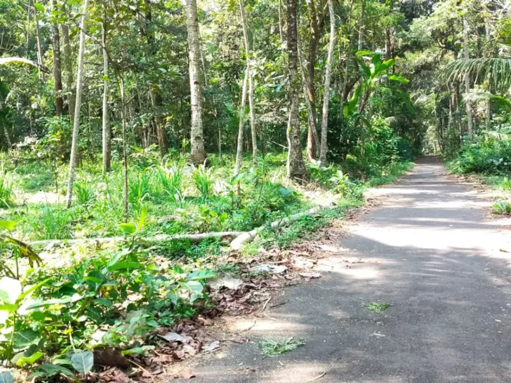 MURAH MERIAH TANAH KEMALANG ASRI HANYA 250JT