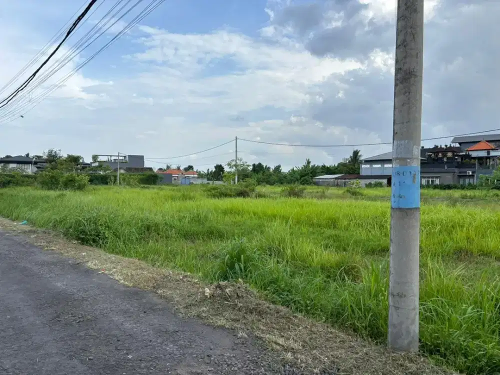 Dikontrakan Tanah View Sawah Lokasi Di Singakerta Ubud Bali. Kawasan Villa2.