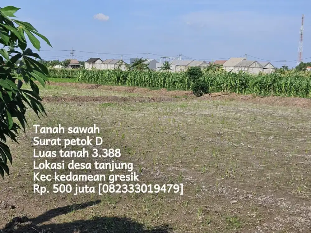 Tanah sawah mepet perumahan kedamean