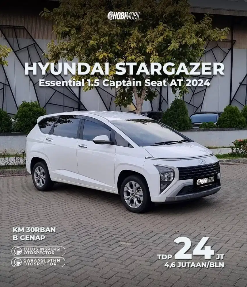 Stargazer Trend Essential Captain seat AT 2024