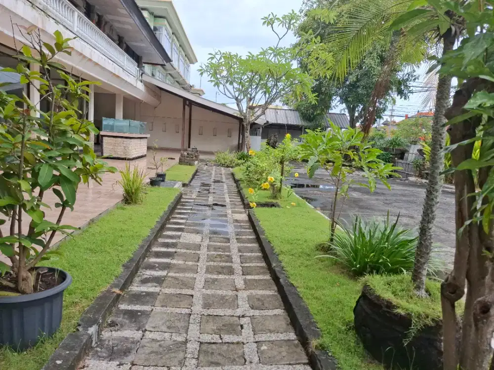 Dicari Asisten  S1 hukum