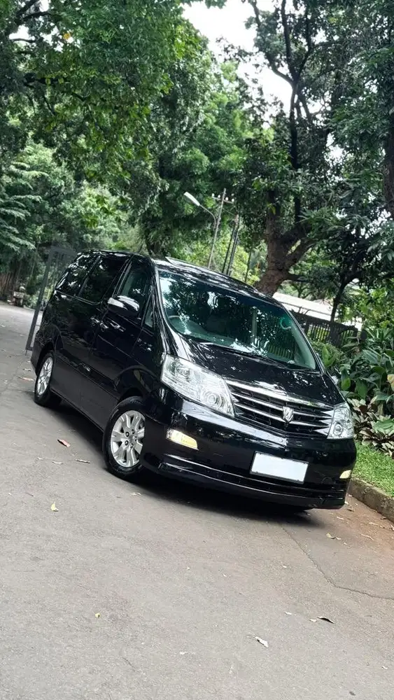 Alphard 3.0 MZG 2006