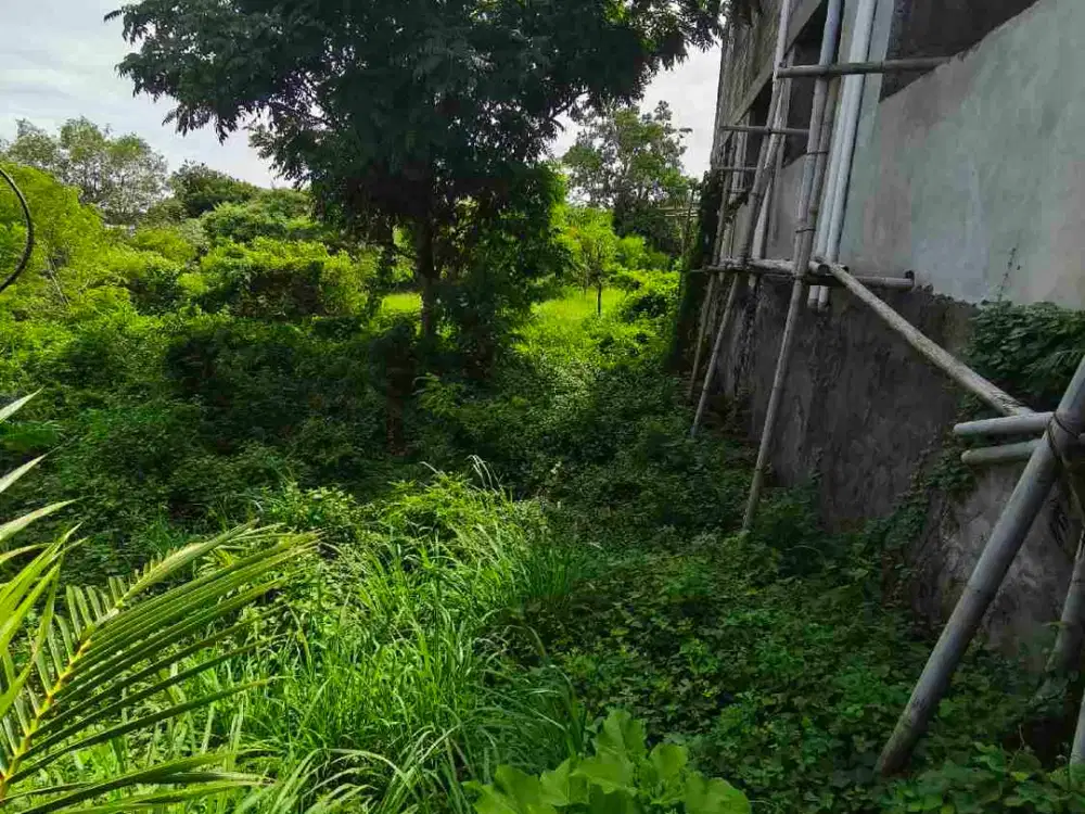 dijual tanah 800m² IDR 500 juta /are second floor ocean view kawasan kampus unud jimbaran Kuta Selatan Badung Bali