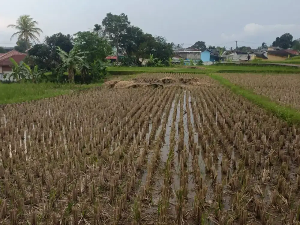 Dijual Tanah Luas 6124 m2 di Rambay, Cisaat, Sukabumi