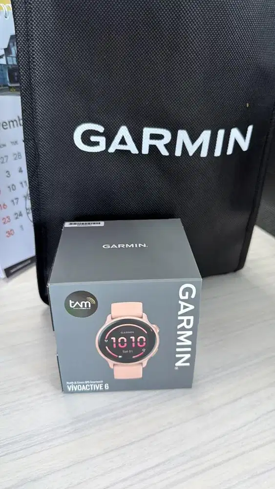 Garmin vivoactive 6