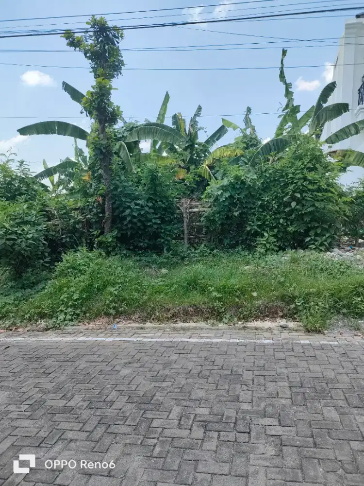 Dijual cepat tanah SHM