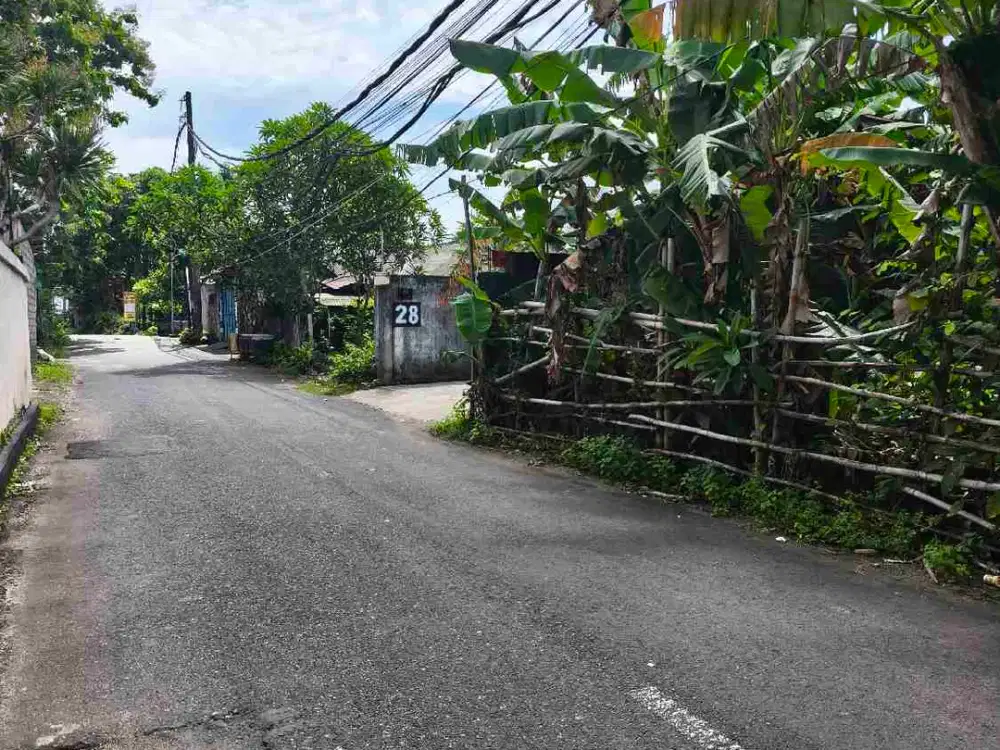 dijual tanah 10 are IDR 600 juta per are dekat Pepito taman griya Jimbaran Kuta Selatan Badung Bali