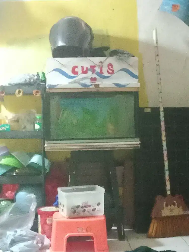 Jual Aquarium ikan