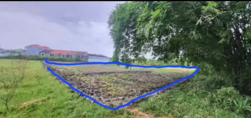 Di jual tanah ukuran 945 m2 di Purwodadi Grobogan