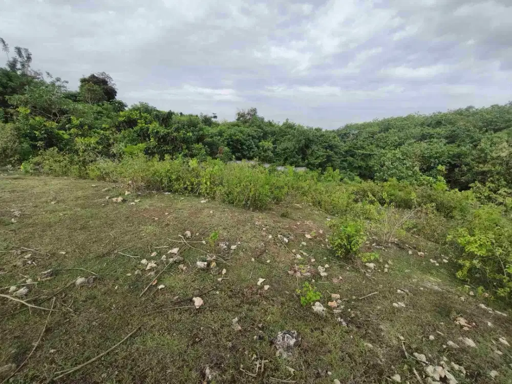 dijual tanah 400m² dekat rektorat kampus unud jimbaran Kuta Selatan Badung Bali