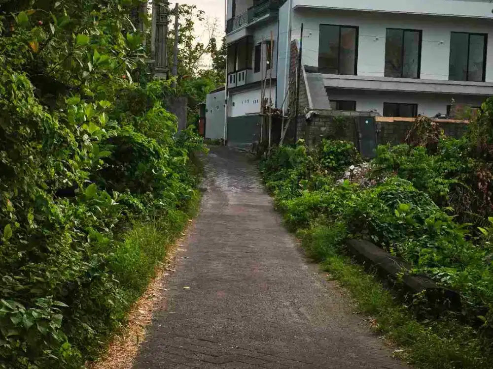 dijual 11 are tanah dekat politeknik & kampus unud jimbaran Kuta Selatan Badung Bali