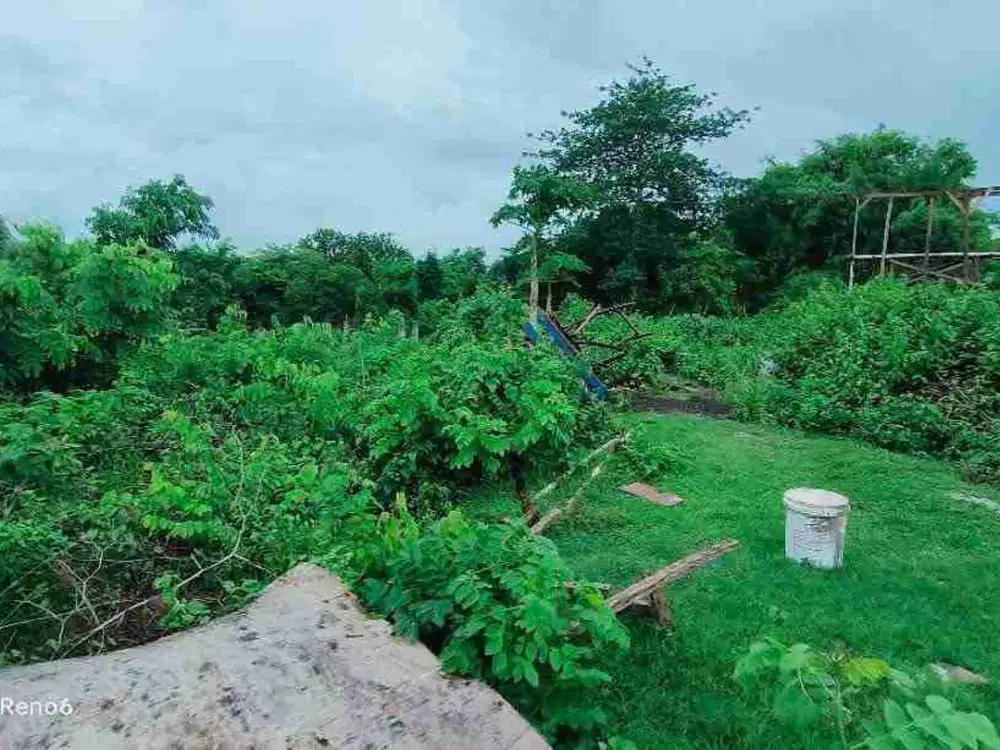 tanah murah 6,19 are dekat SMP negeri 5 Kutuh Badung Bali