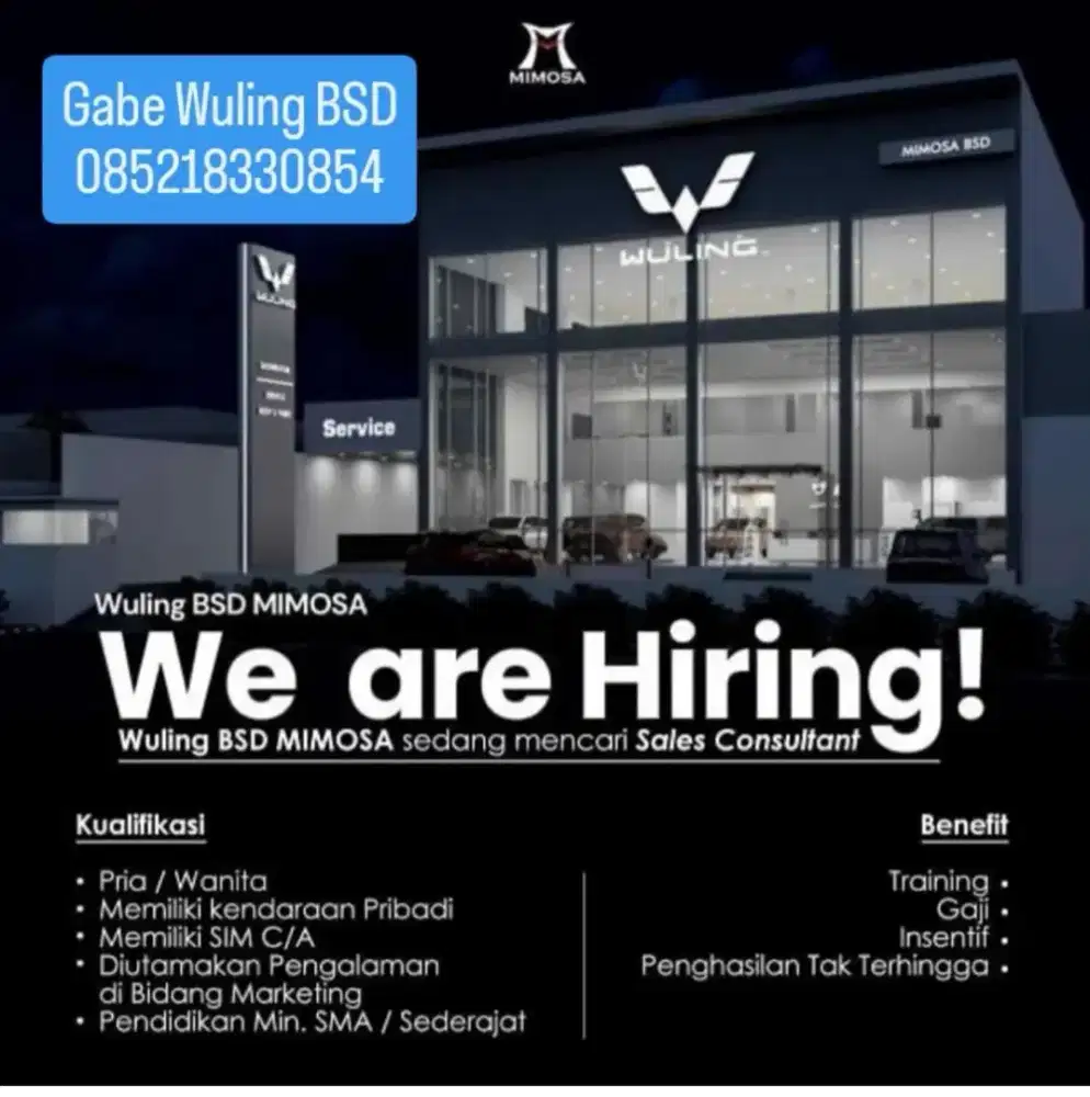 Sales marketing Wuling
