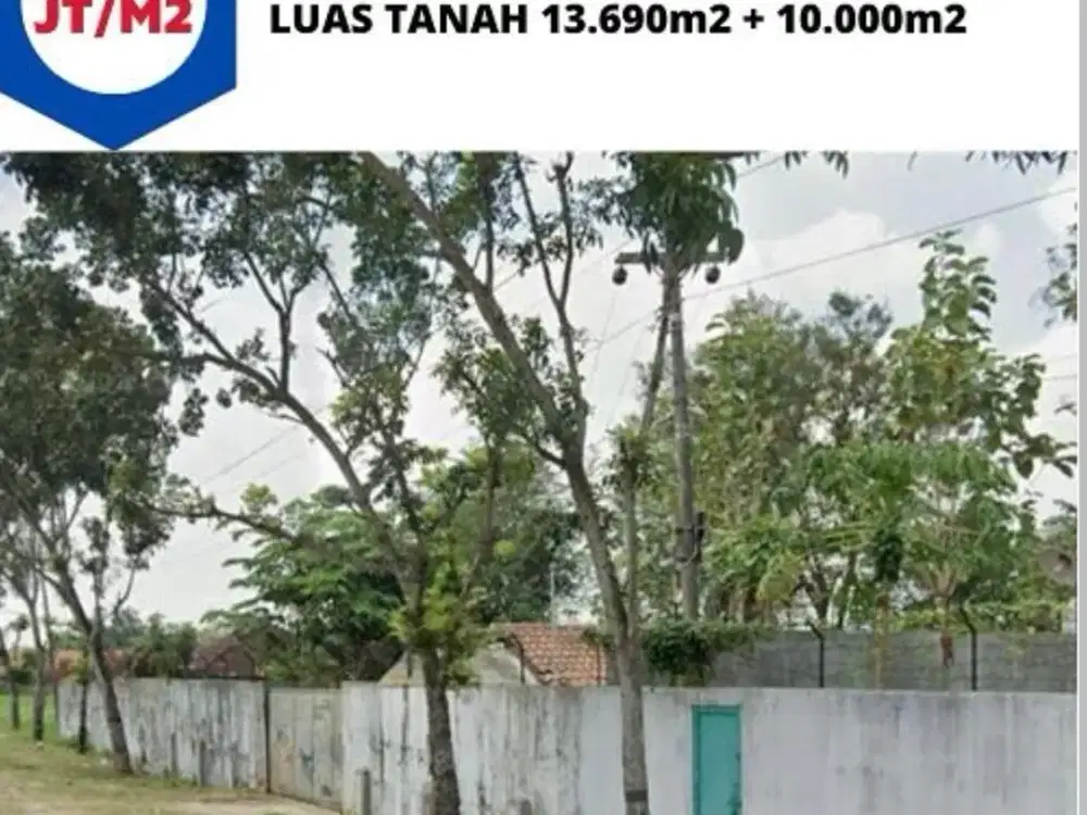 Tanah Sangat Luas cocok untuk perumahan di Blaru Pati