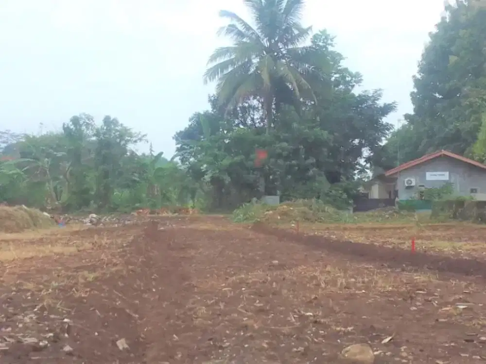 Dalam Perumahan Ciomas Permai, Kavling SHM, Cocok Untuk Hunian