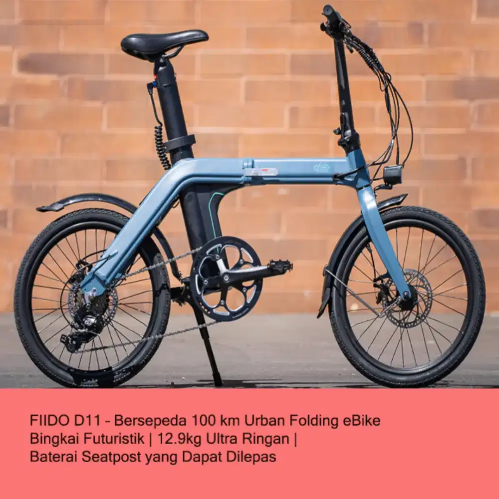 Sepeda Listrik FIDO D11