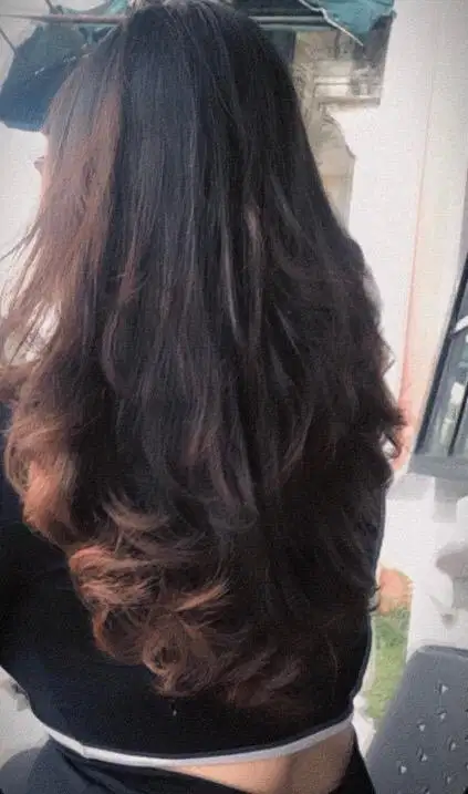 Mencari loker freelance