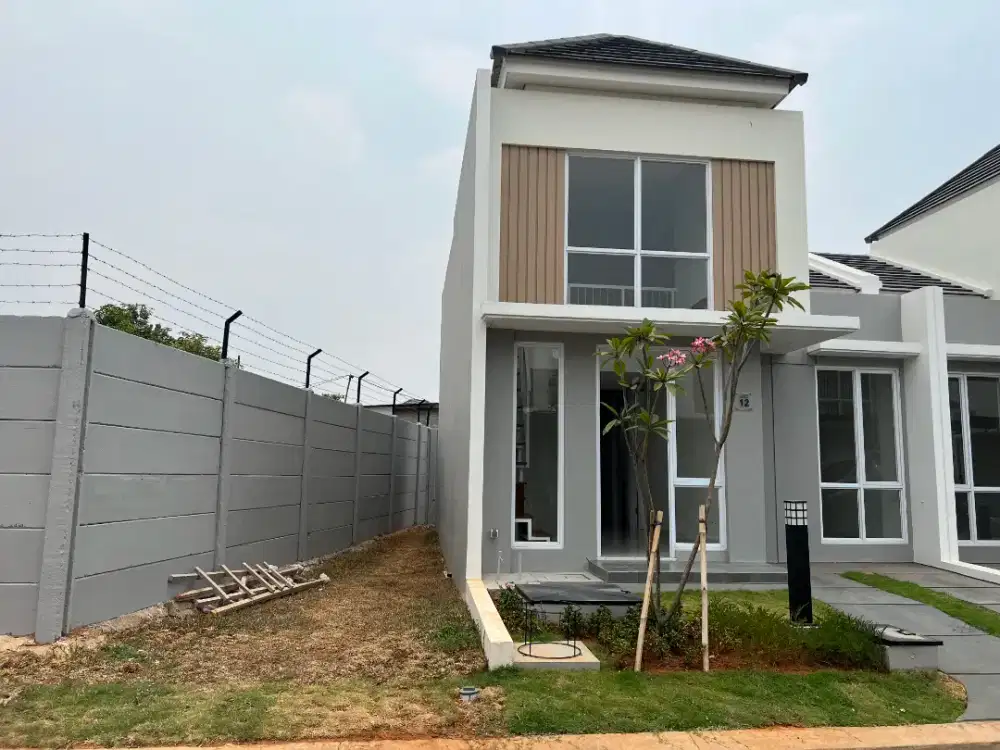 DIJUAL PARAMOUNT PETALS CLUSTER CANNA