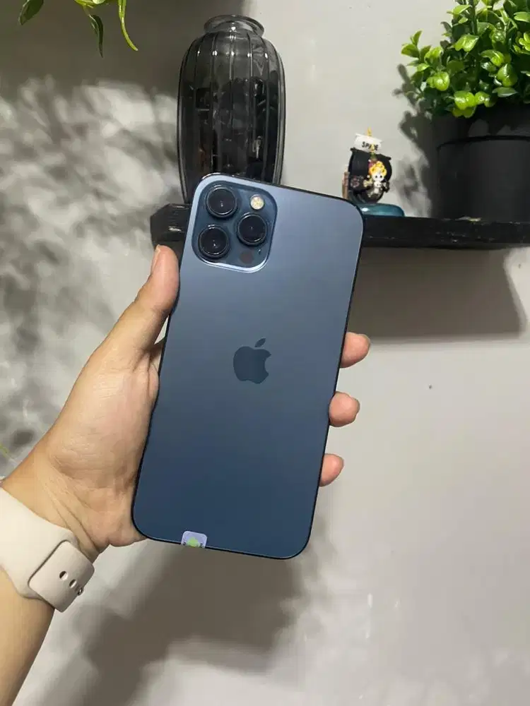 iPhone 12 Pro Max 256Gb Reg Beacukai Fullset Mulus