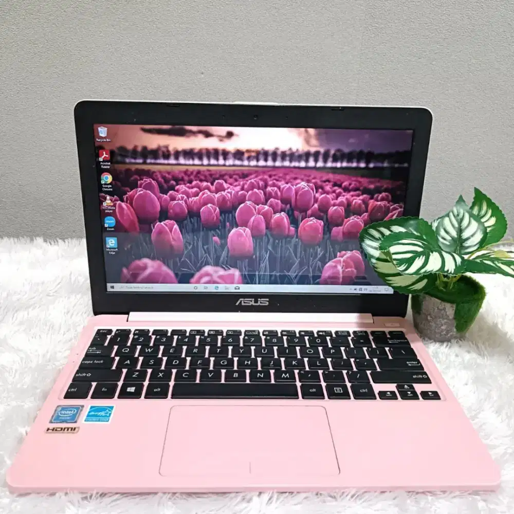 LAPTOP MURAH ASUS E203MA INTEL N4000 RAM 4GB SSD 128GB LAYAR 12.0 INCH