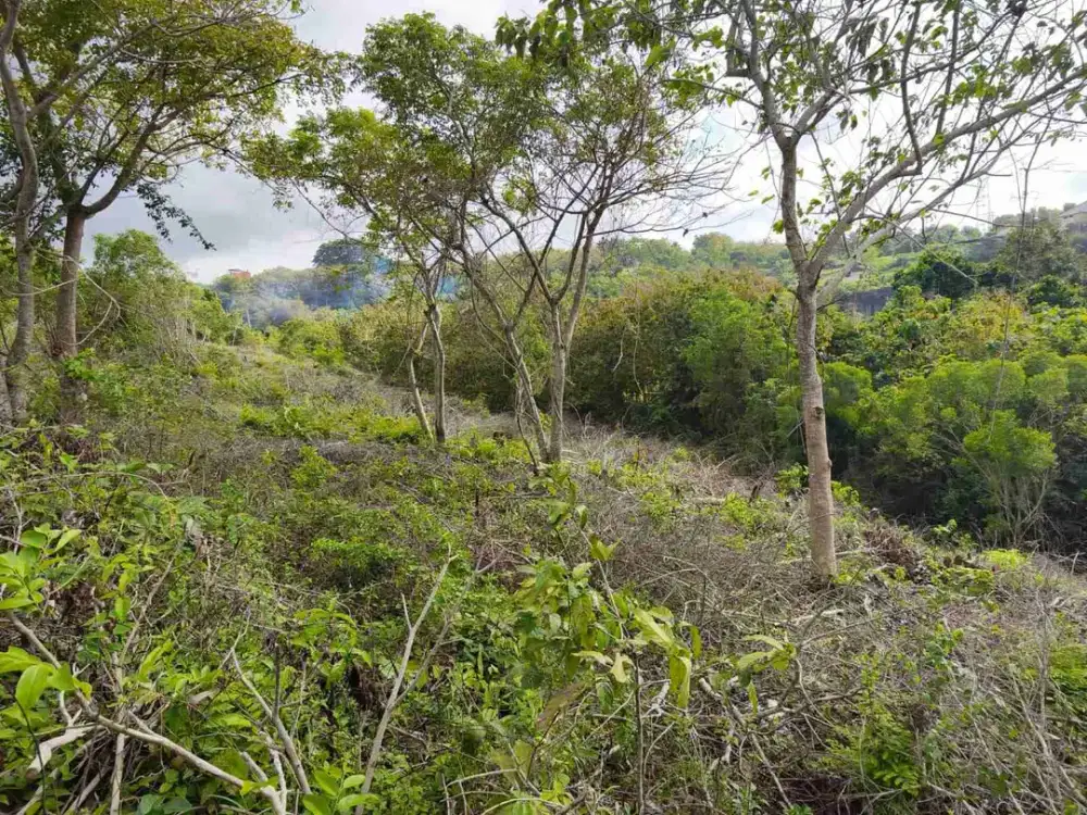 Tanah 11.200m² kawasan GWK ungasan badung bali