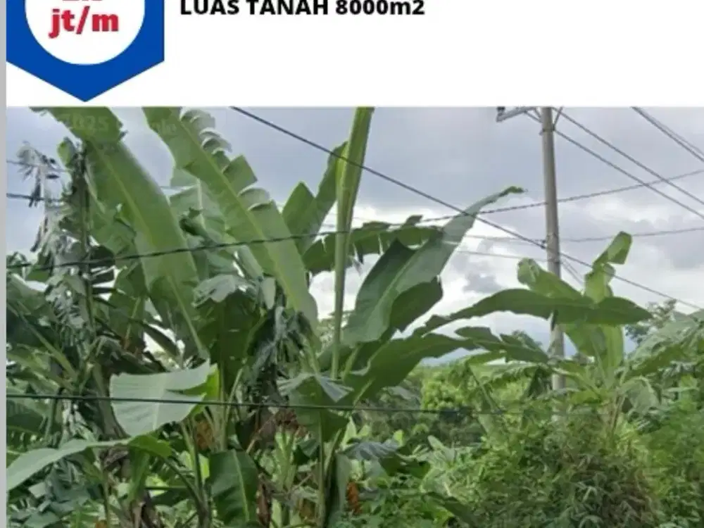 Tanah Luas di Jatibarang